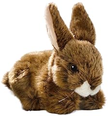 Carl dick hase gebraucht kaufen  Wird an jeden Ort in Deutschland