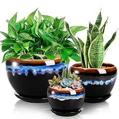 Avla pack ceramic for sale  Delivered anywhere in UK