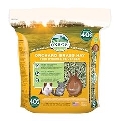 Oxbow orchard grass usato  Spedito ovunque in Italia 