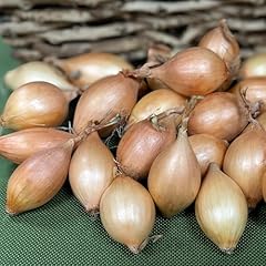 Plevey sons 250g for sale  Delivered anywhere in UK