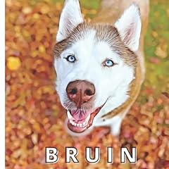 Bruin for sale  Delivered anywhere in UK