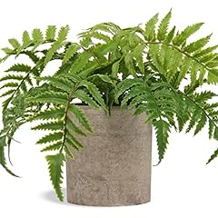 Small fake plant for sale  Delivered anywhere in USA 