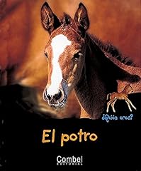 Potro the colt d'occasion  Livré partout en France