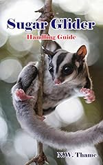 Sugar glider handling d'occasion  Livré partout en France