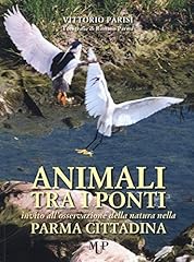 Animali tra ponti. usato  Spedito ovunque in Italia 