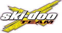 Team ski doo for sale  Delivered anywhere in USA 