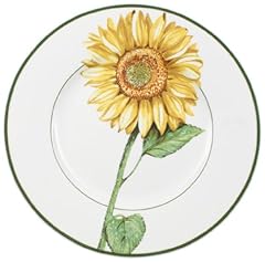 Villeroy boch flora gebraucht kaufen  Wird an jeden Ort in Deutschland