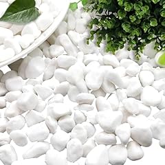 Dellyy pietre decorative usato  Spedito ovunque in Italia 