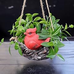 Hanging planters plants for sale  Delivered anywhere in USA 