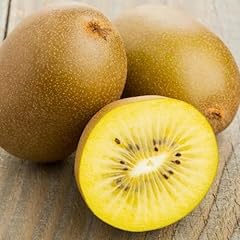 100 golden kiwi for sale  Delivered anywhere in USA 