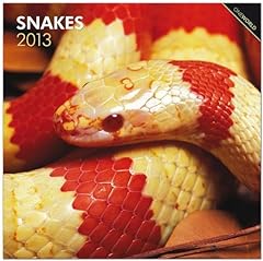 Snakes 2013 schlangen gebraucht kaufen  Wird an jeden Ort in Deutschland