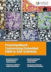 Praxishandbuch customizing emb gebraucht kaufen  Wird an jeden Ort in Deutschland