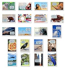 Fun facts postcard for sale  Delivered anywhere in USA 