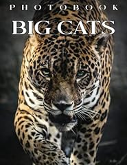 Big cats photo for sale  Delivered anywhere in UK