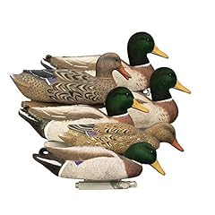 Wing duck decoys usato  Spedito ovunque in Italia 