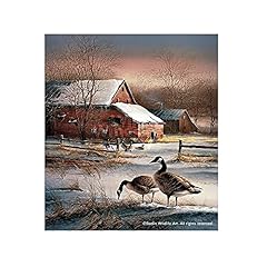 Wild wings winter for sale  Delivered anywhere in USA 