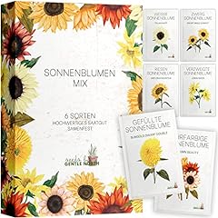 Sonnenblumen samen set gebraucht kaufen  Wird an jeden Ort in Deutschland