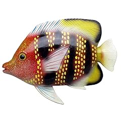 Tropical fish wall for sale  Delivered anywhere in USA 