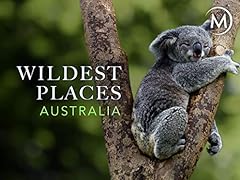 Wildest places for sale  Delivered anywhere in UK
