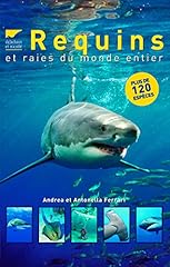 Requins raies entier d'occasion  Livré partout en France