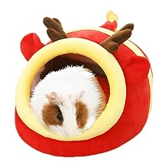 Eaedmy guinea pig for sale  Delivered anywhere in USA 