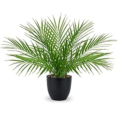 Briful fake plant for sale  Delivered anywhere in USA 