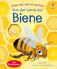 Schau wachse larve gebraucht kaufen  Wird an jeden Ort in Deutschland
