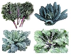1000 kale mixed for sale  Delivered anywhere in USA 