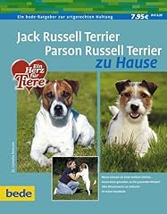 Jack russel terrier. usato  Spedito ovunque in Italia 