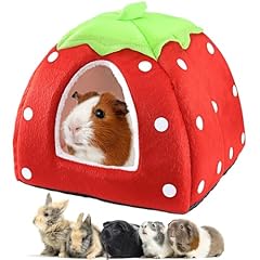 Guinea pig bed for sale  Delivered anywhere in USA 