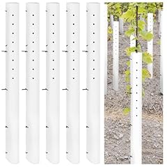 Pushglossy pack tree for sale  Delivered anywhere in USA 