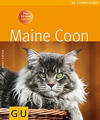 Maine coon gu d'occasion  Livré partout en Belgiqu