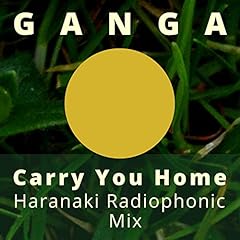 Carry you home gebraucht kaufen  Wird an jeden Ort in Deutschland