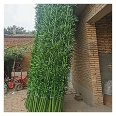 3ft 4ft 5ft for sale  Delivered anywhere in USA 