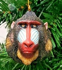 Monkey head mandrill for sale  Delivered anywhere in USA 