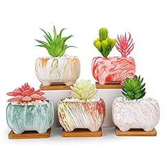 Artketty succulent planters for sale  Delivered anywhere in USA 