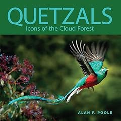 Quetzals icons cloud for sale  Delivered anywhere in USA 