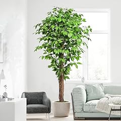 Keeplush 6.2ft ficus for sale  Delivered anywhere in USA 