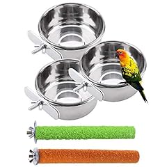 Pinvnby parrot food for sale  Delivered anywhere in UK