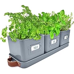 Volila herb planter for sale  Delivered anywhere in USA 