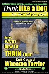 Soft coated wheaten for sale  Delivered anywhere in USA 