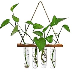 Wall hanging planter for sale  Delivered anywhere in USA 