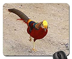 Mouse Pad - Red Golden Pheasants Chinese Pheasant Peafowl, used for sale  Delivered anywhere in UK