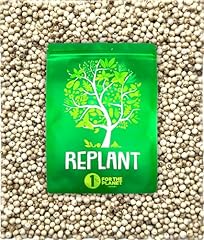 Replant poivre blanc d'occasion  Livré partout en France