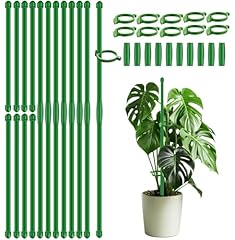 20pcs plant support for sale  Delivered anywhere in USA 