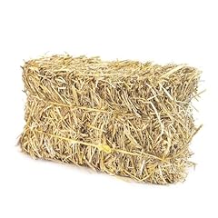 Firewood central mini for sale  Delivered anywhere in USA 