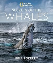 Secrets whales for sale  Delivered anywhere in UK