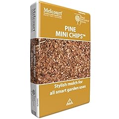 Melcourt pine mini for sale  Delivered anywhere in UK