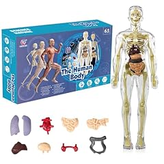 Kqdravine human body gebraucht kaufen  Wird an jeden Ort in Deutschland