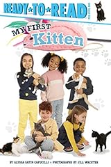 First kitten ready for sale  Delivered anywhere in USA 